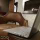 Illustration for article titled Asus ZenBook Pro UX501 Review: Just Ignore The Word "Pro"